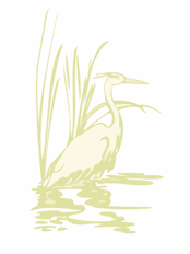 heron